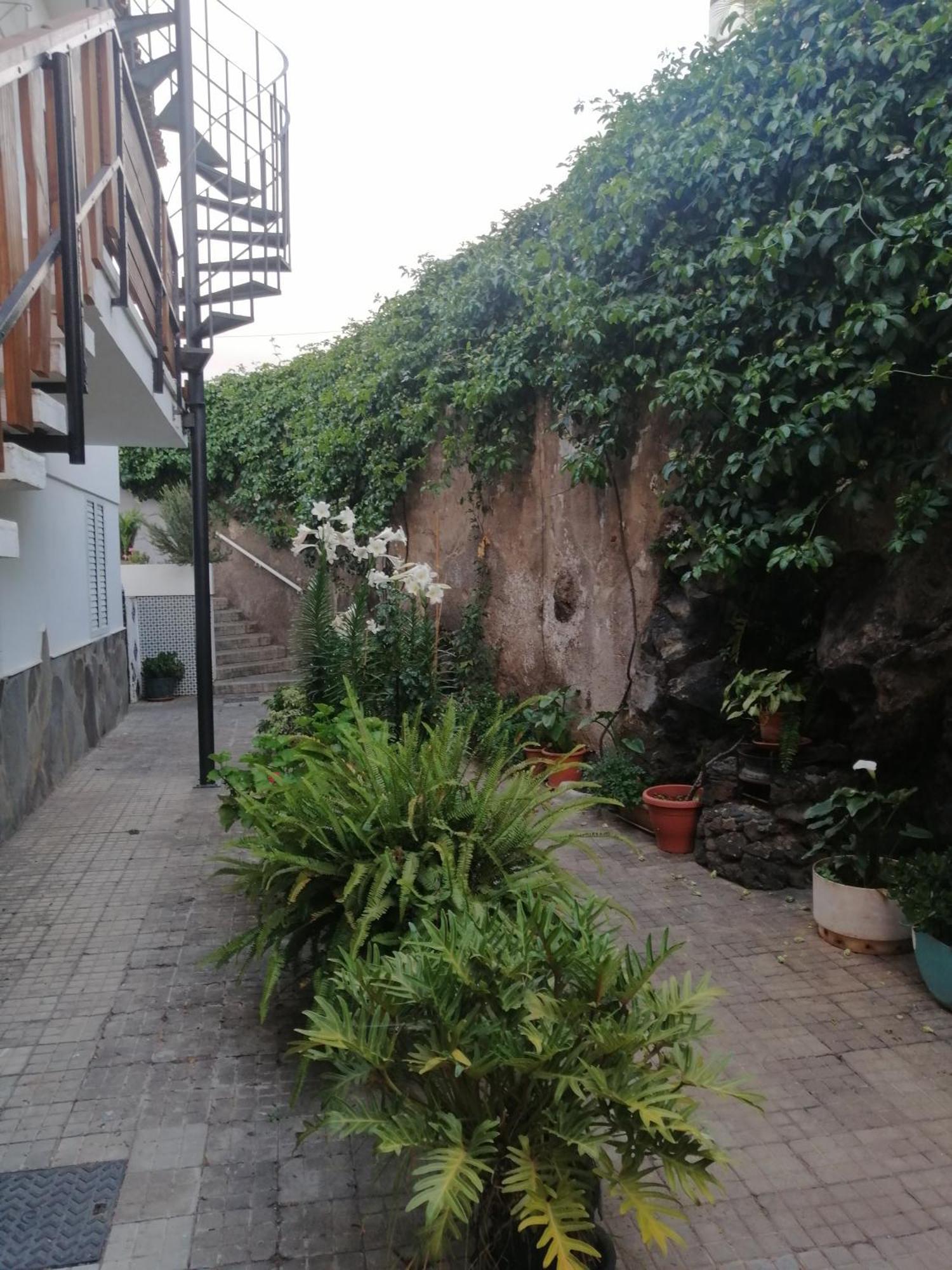 Puerto De La Cruz - Sun House - Holidays - Resort Bagian luar foto